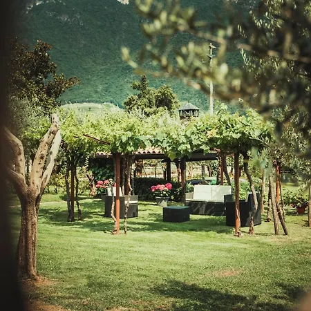 Az. Agr. Tenuta La Casetta *