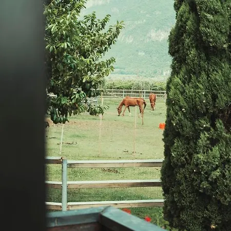 Apartment Az. Agr. Tenuta La Casetta Mama di Sopra