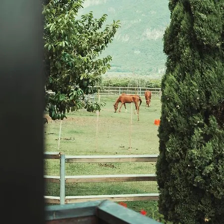 Apartament Az. Agr. Tenuta La Casetta Mama di Sopra